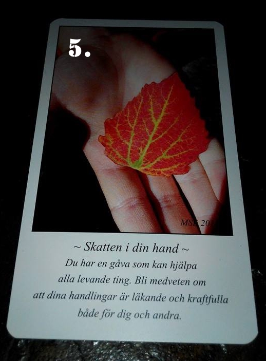 5 färdig
