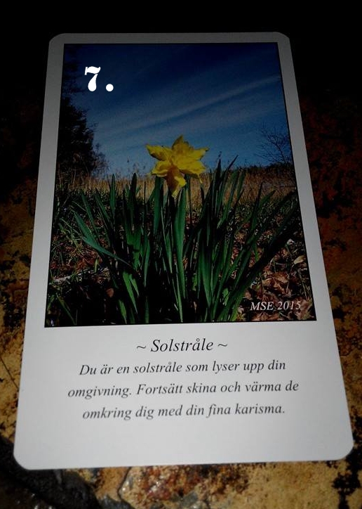 7 färdig