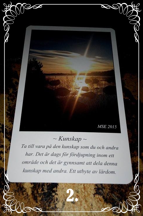 kunskap 2