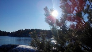 sol i tallen