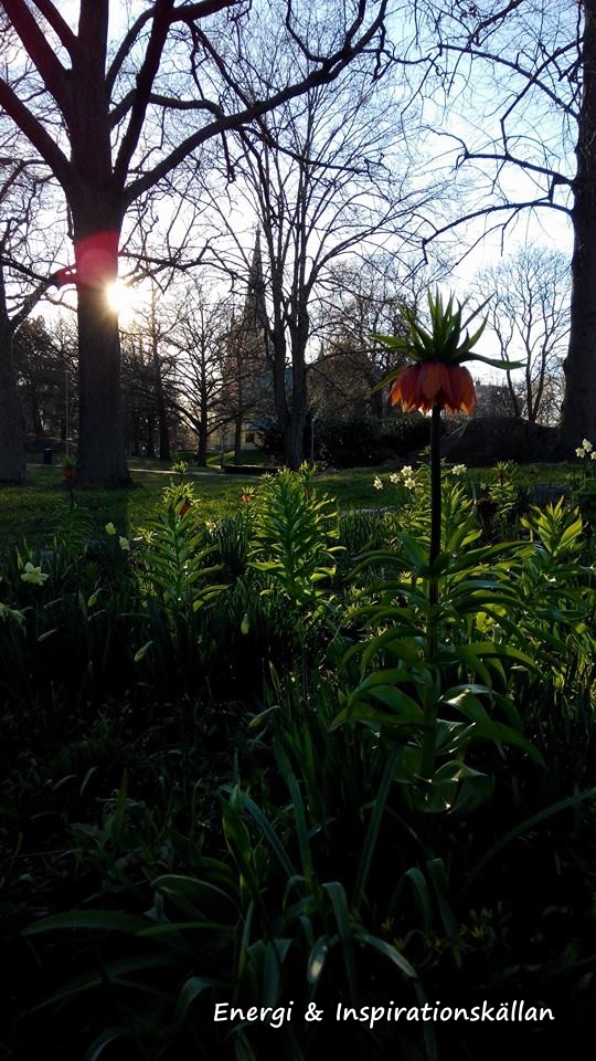 stadsparken kejsarkrona m logga
