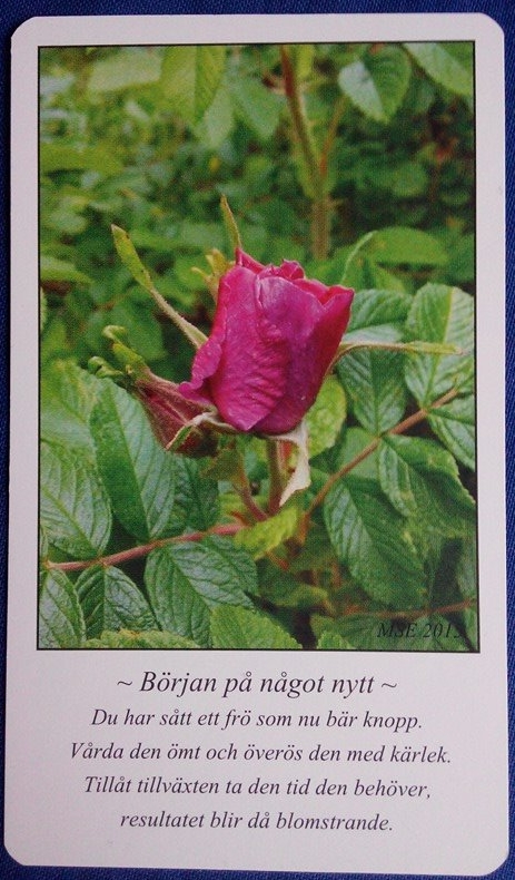 Början på något nytt beskuren o klar