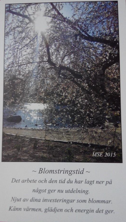 Blomstringstid klar