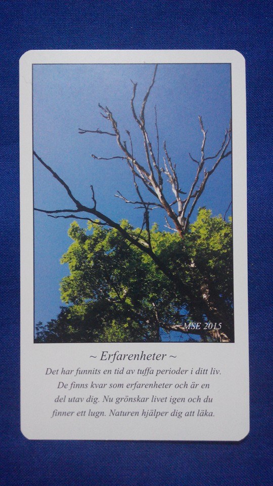 Erfarenheter