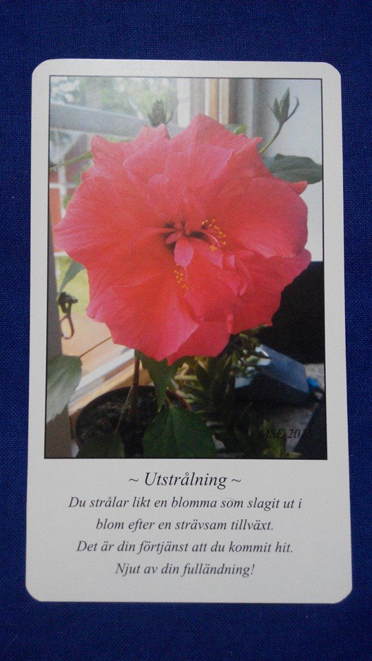 Utstrålning