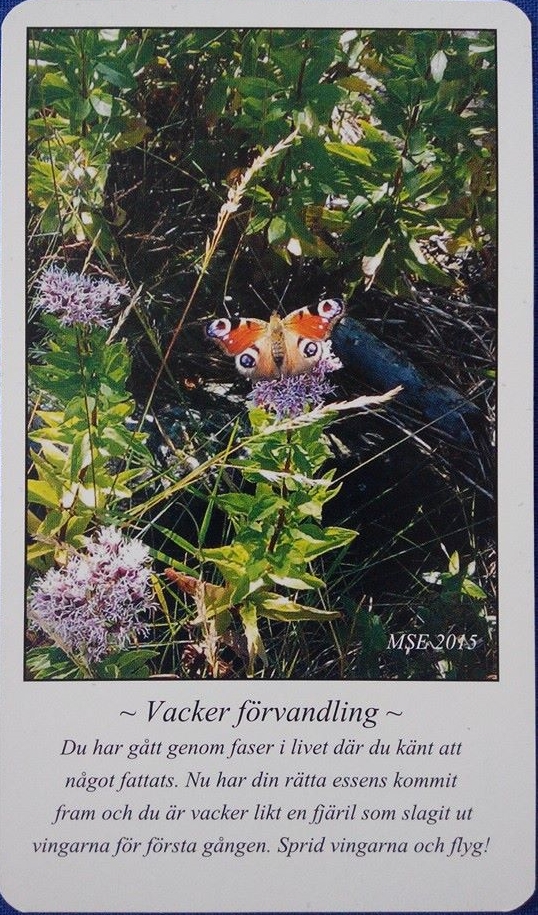 Vacker förvandling klar