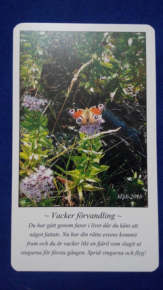 Vacker förvandling
