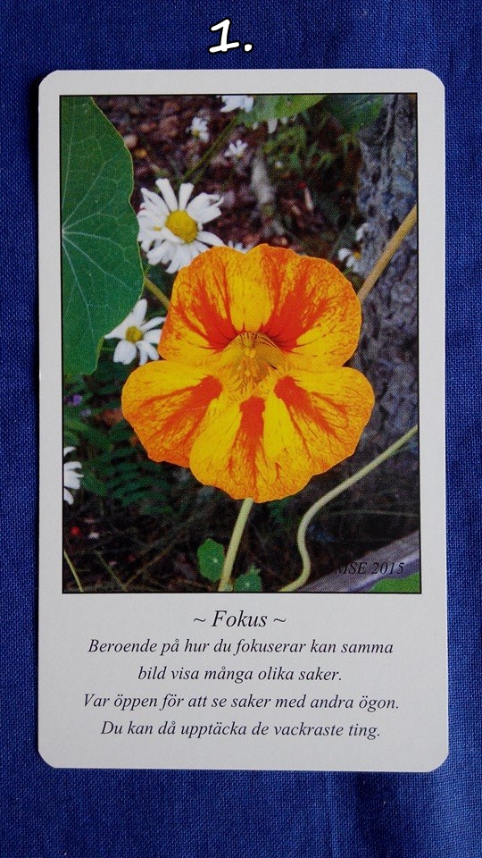 1-med-siffa